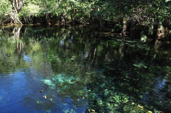 Aquário Natural, em Bonito, no Mato Grosso do Sul